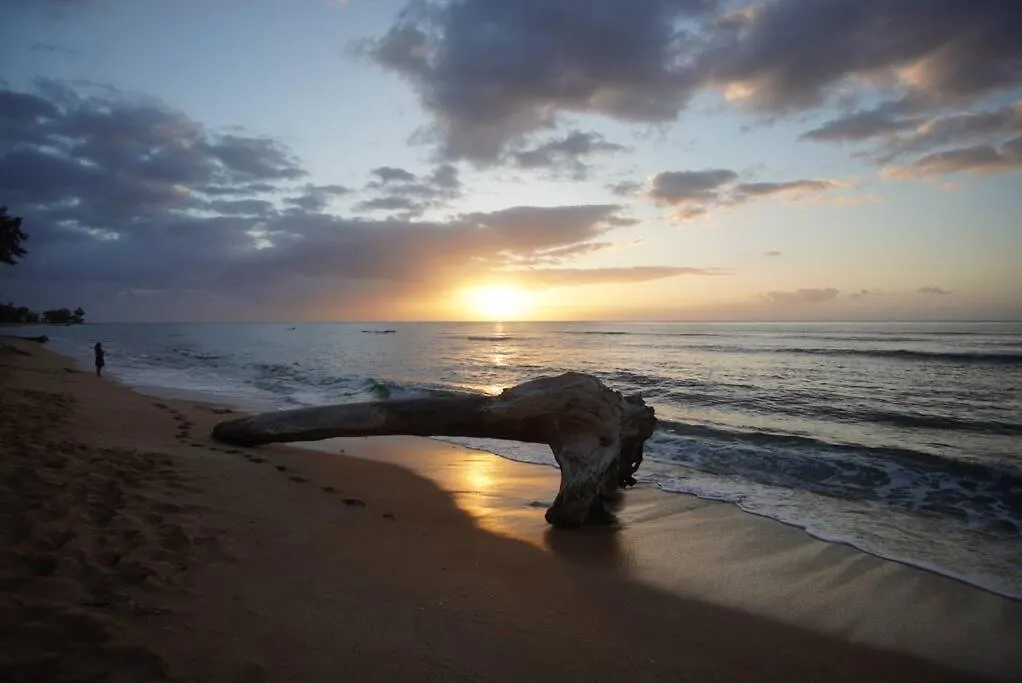 Islander Resort Oceanfront # 149 Kapa'a 0*,  USA